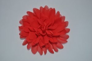 DSC 0465 300x199 Chiffon bloem rood