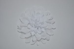 DSC 0484 300x199 Chiffon bloem wit